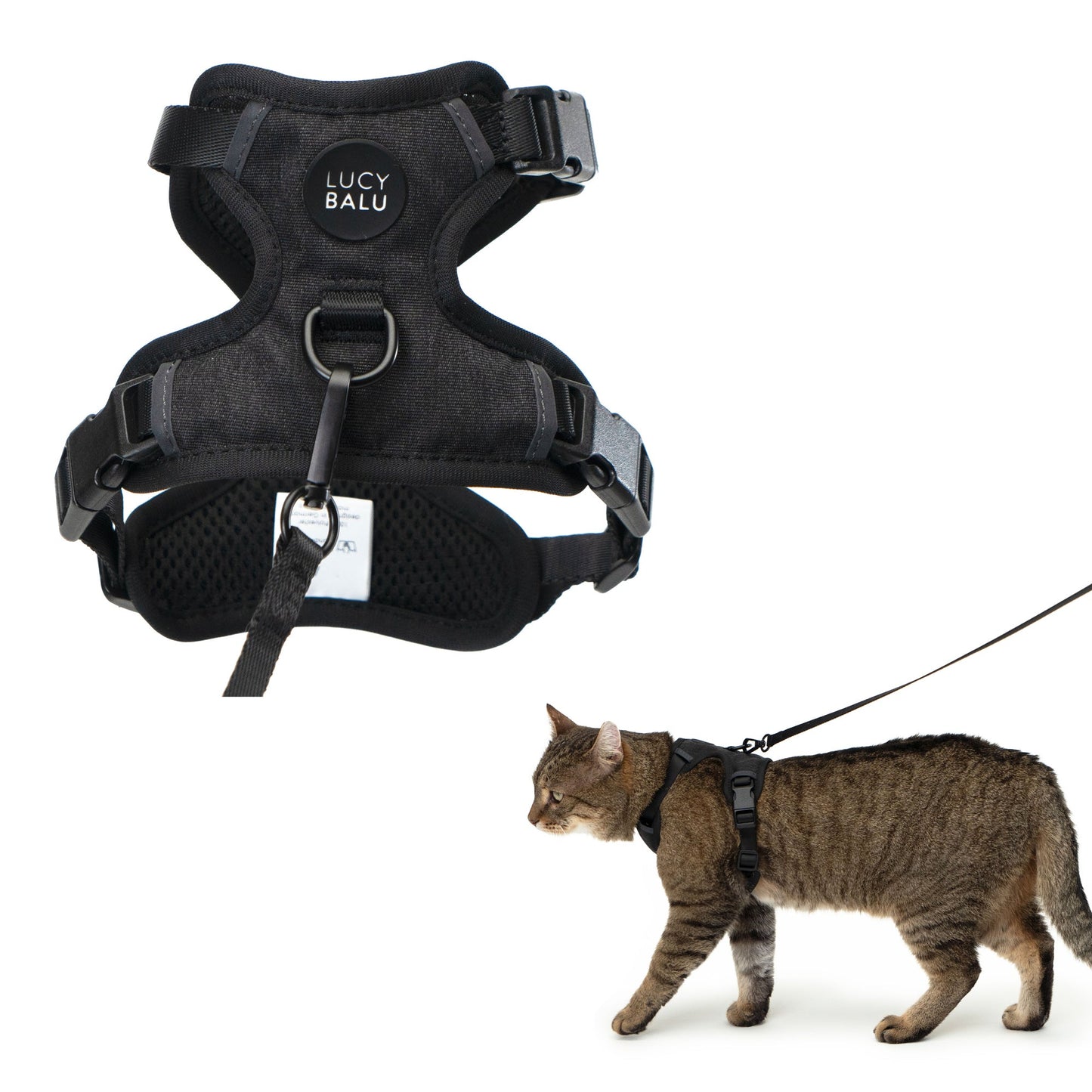 cat harness