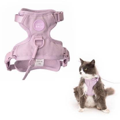 cat harness