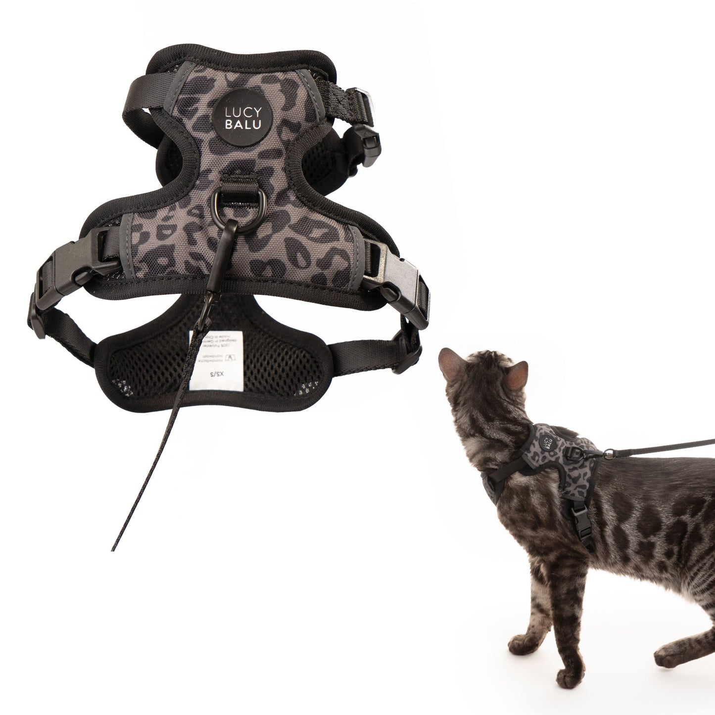 cat harness