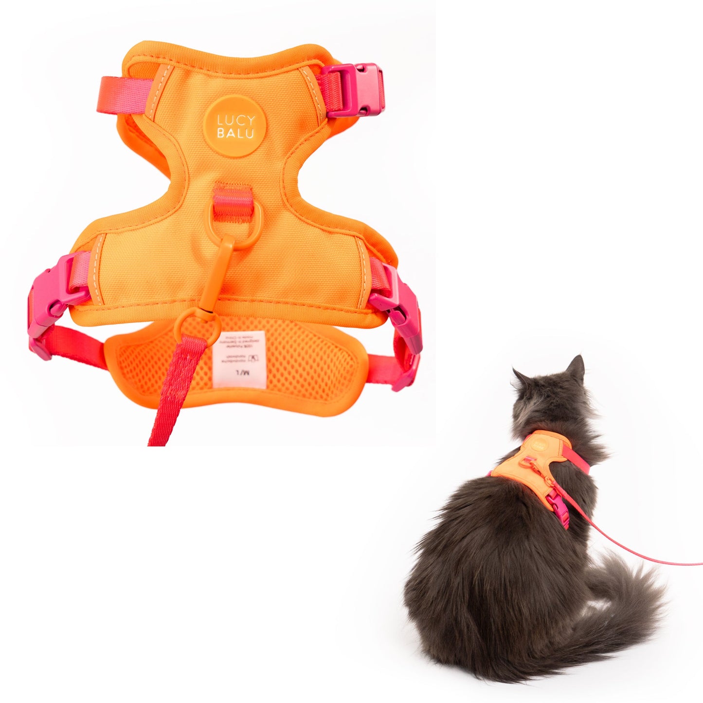 cat harness