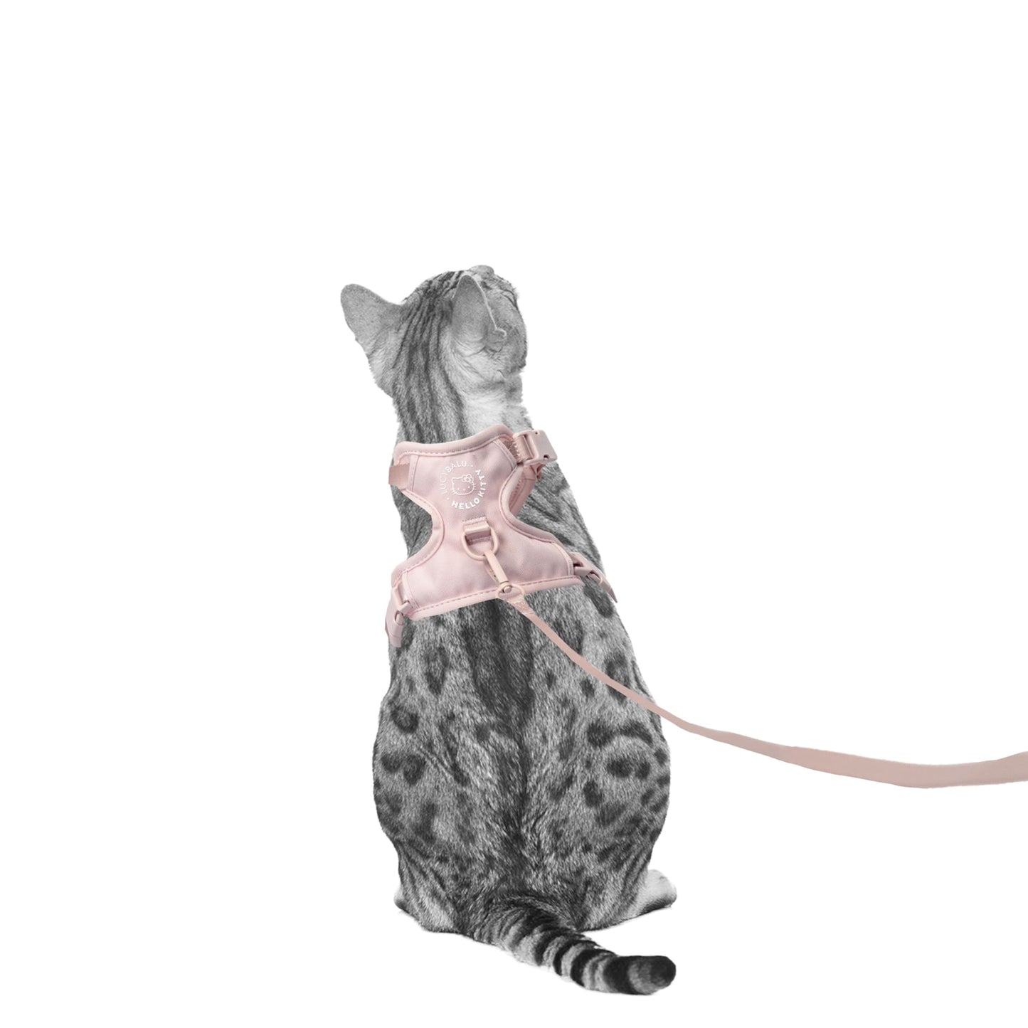 cat harness