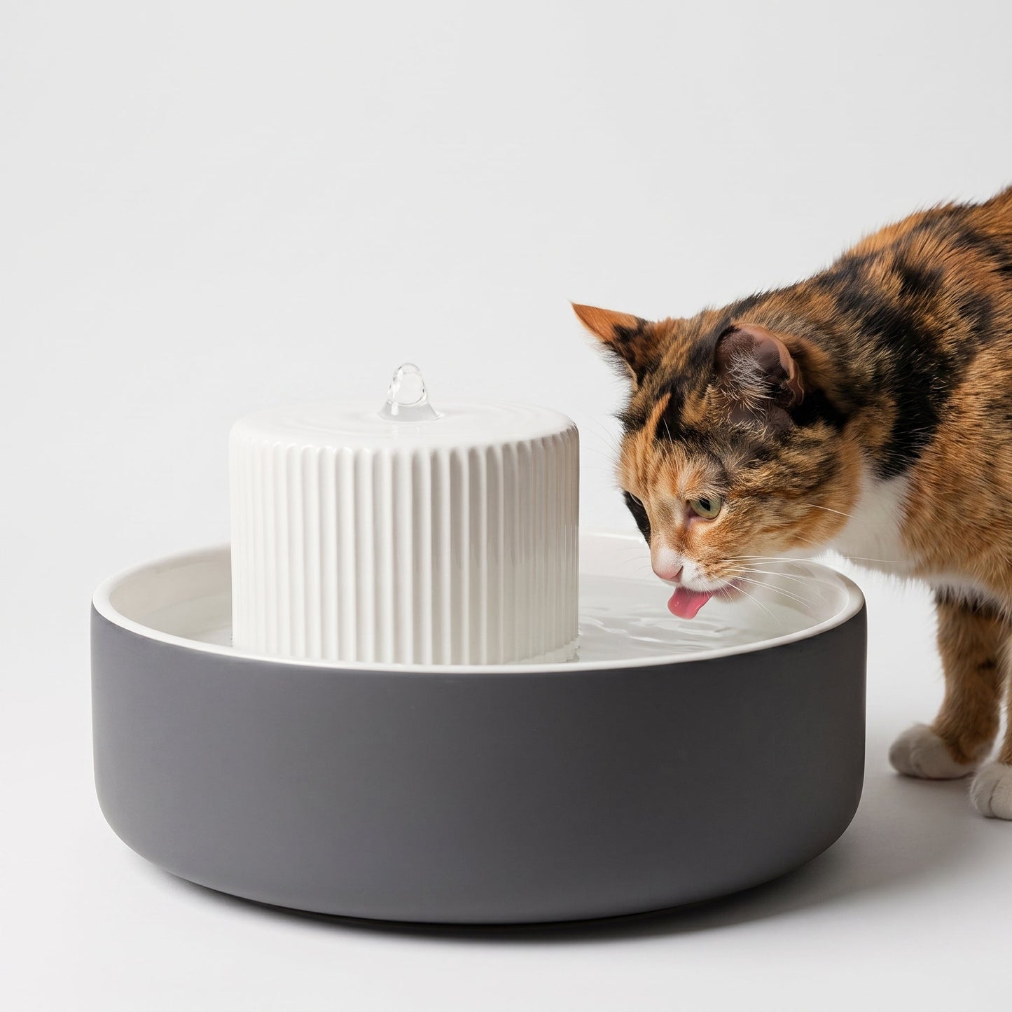 TREVI cat water fountain