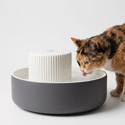 TREVI cat water fountain