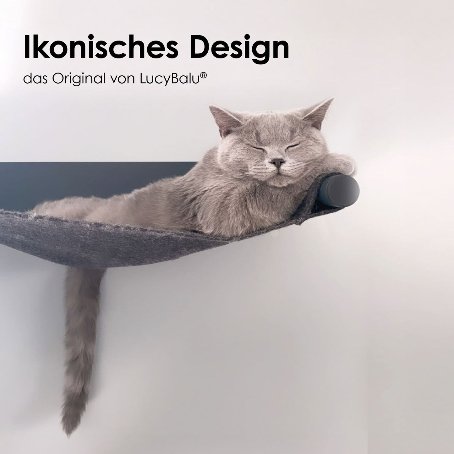 SWING cat hammock