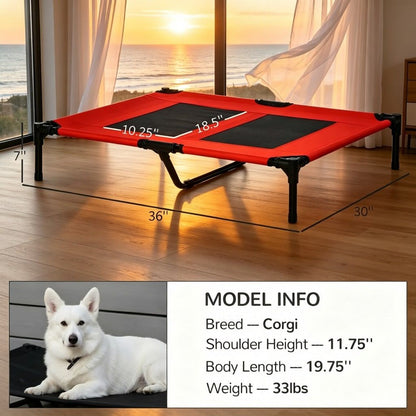 Elevated 36-Inch Summer Dog Cot with Mesh Ventilation for Comfort
