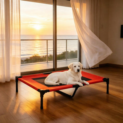Elevated 36-Inch Summer Dog Cot with Mesh Ventilation for Comfort
