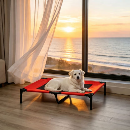 Elevated 36-Inch Summer Dog Cot with Mesh Ventilation for Comfort