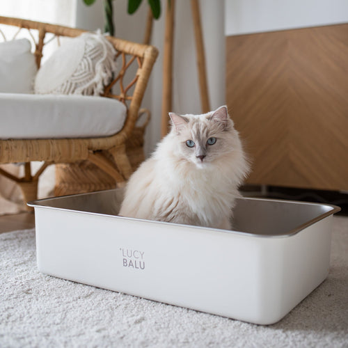 STEELOO cat litter box