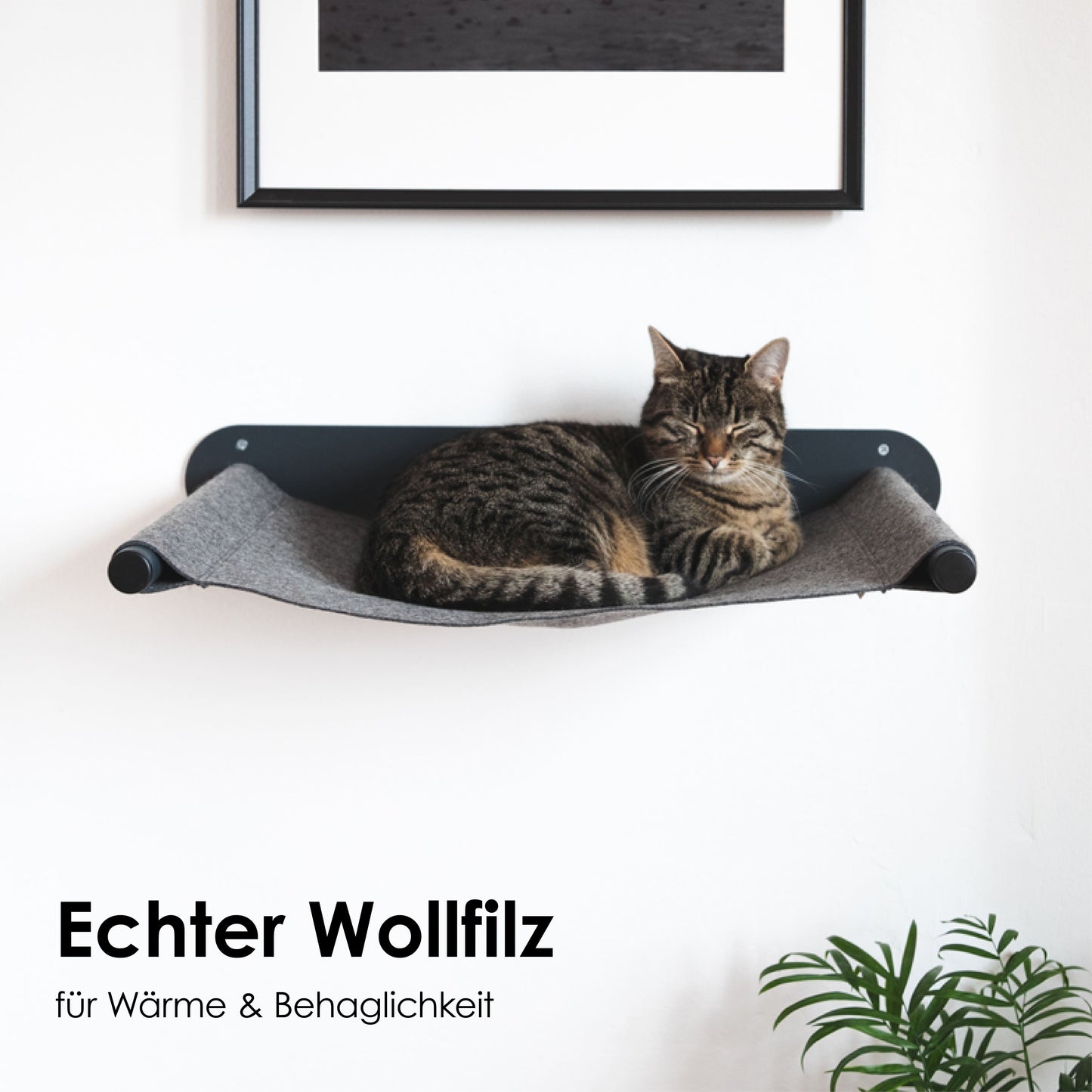 SWING cat hammock