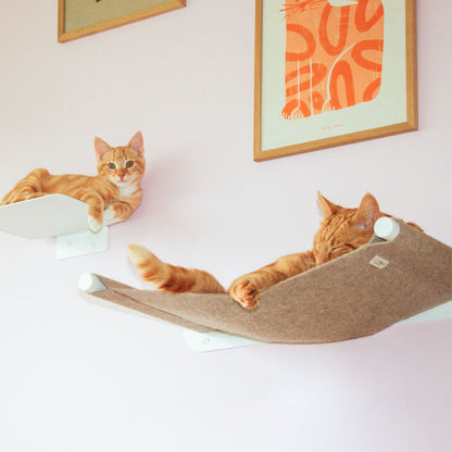 SWING cat hammock