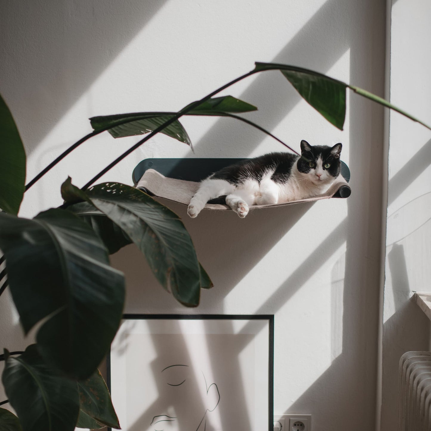 SWING cat hammock
