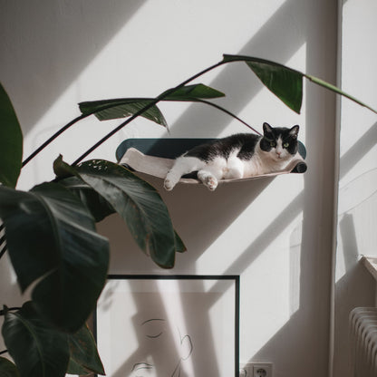 SWING cat hammock