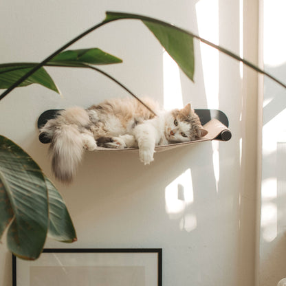 SWING cat hammock
