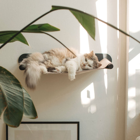 SWING cat hammock