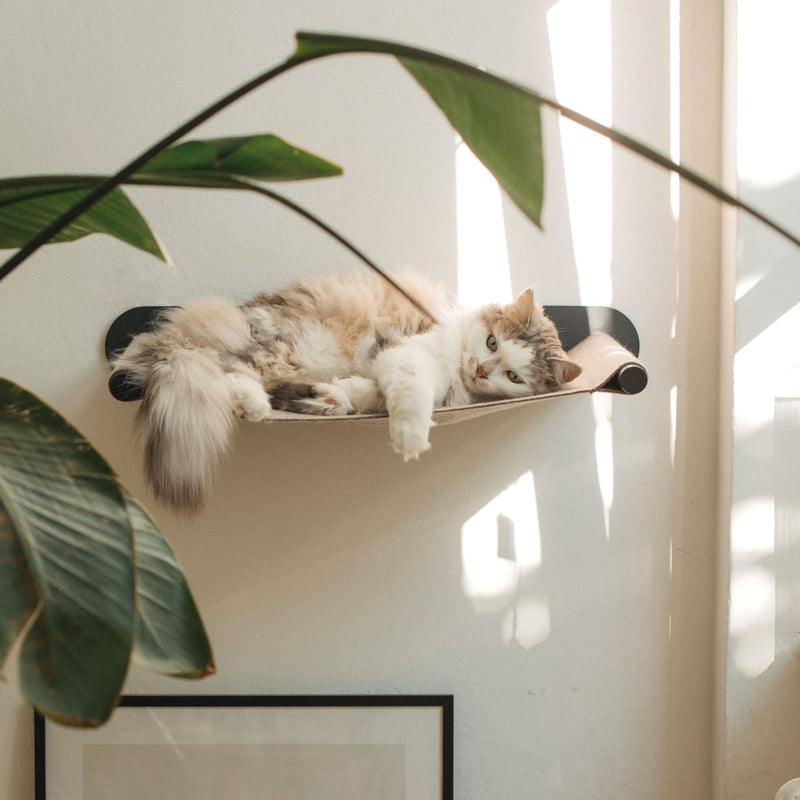 SWING cat hammock