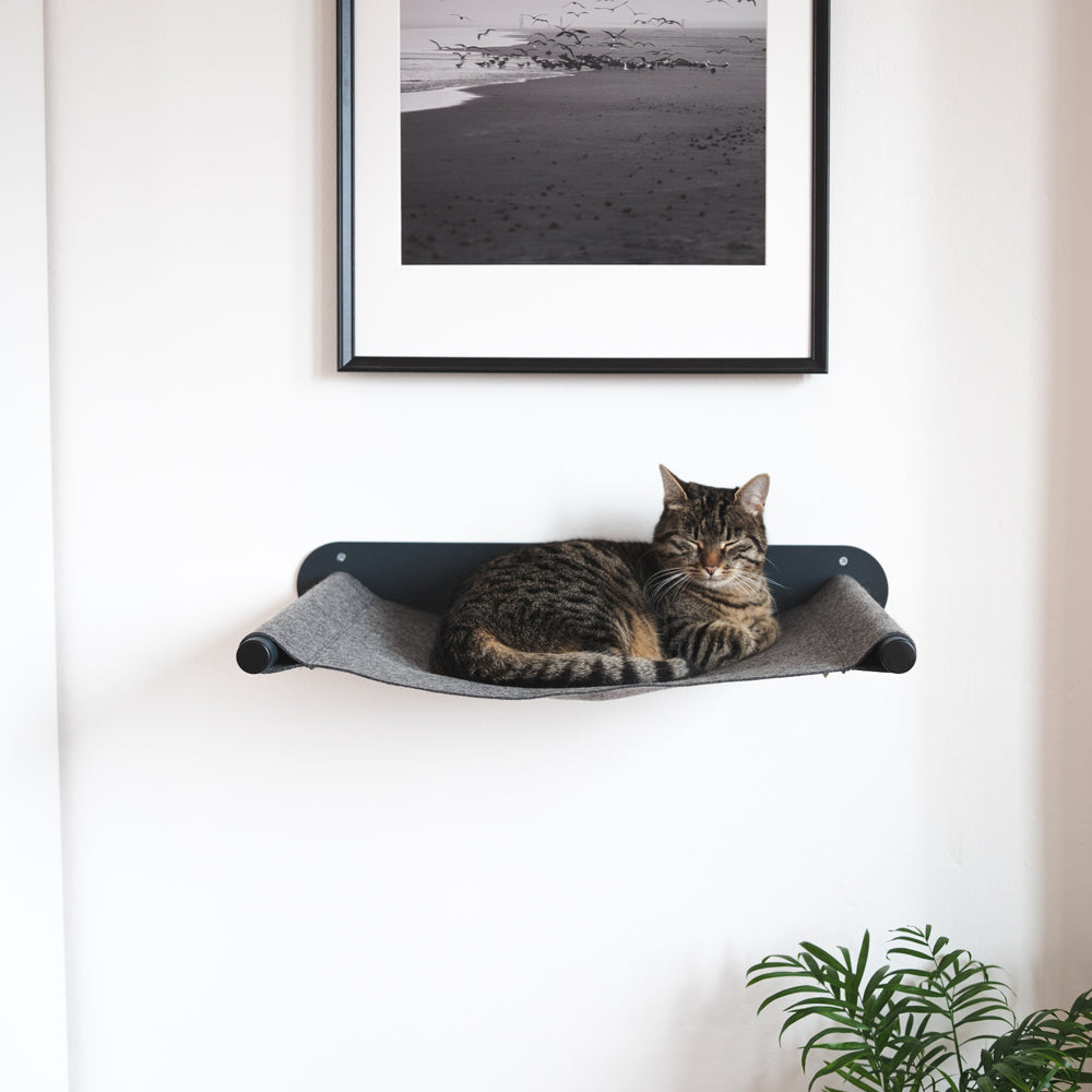 SWING cat hammock