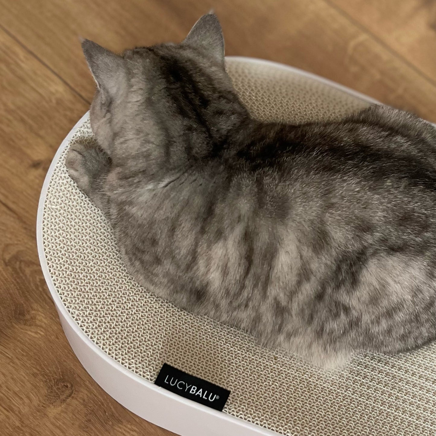 SCRATCHBED cardboard bed