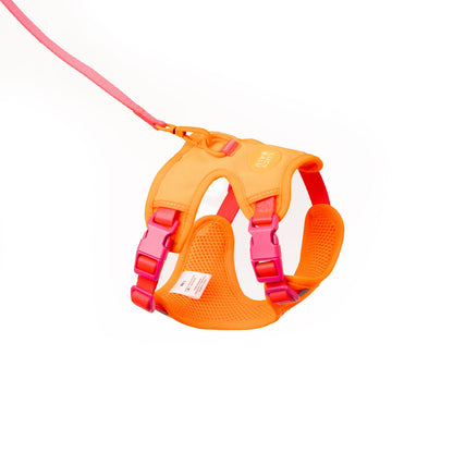 cat harness