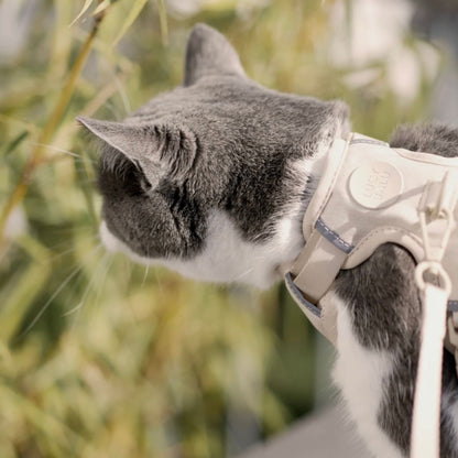 cat harness