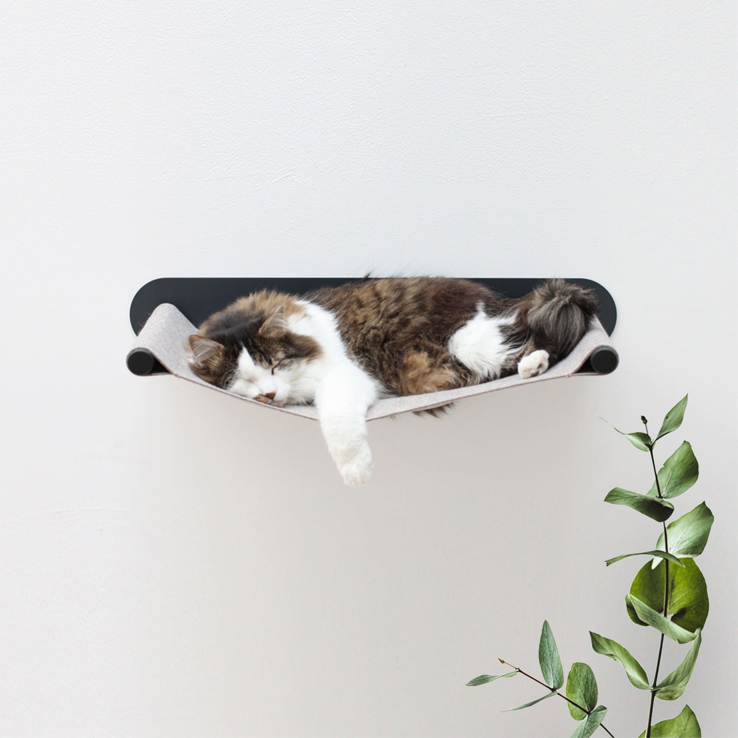 SWING cat hammock