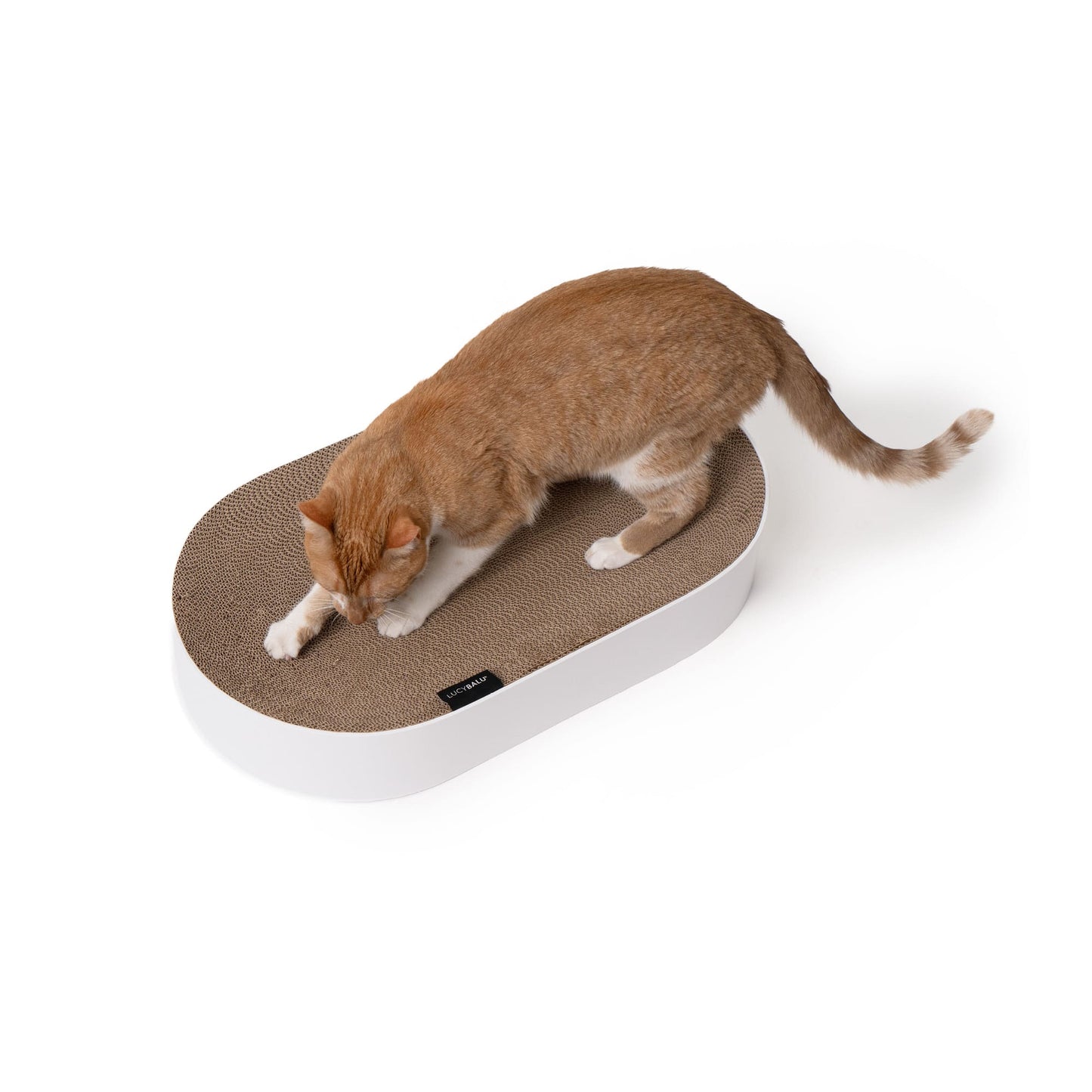 SCRATCHBED cardboard bed