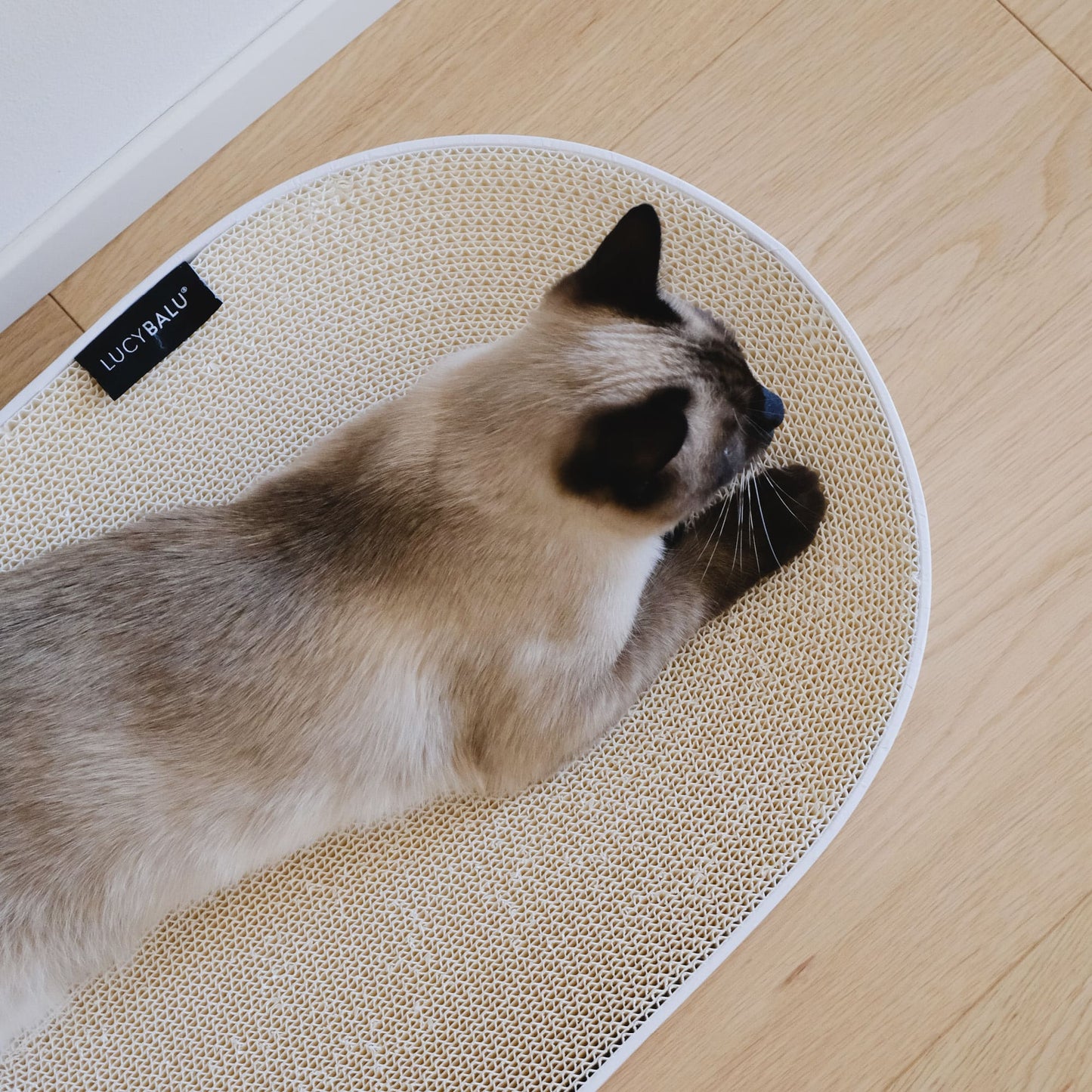 SCRATCHBED cardboard bed
