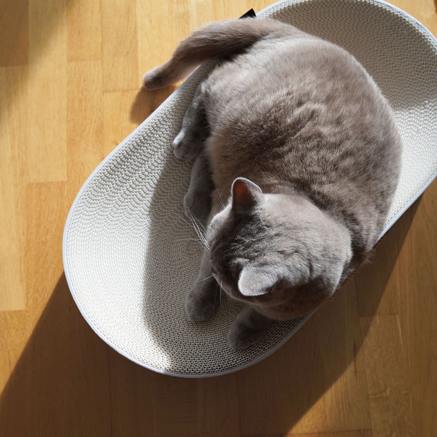 SCRATCHBED cardboard bed