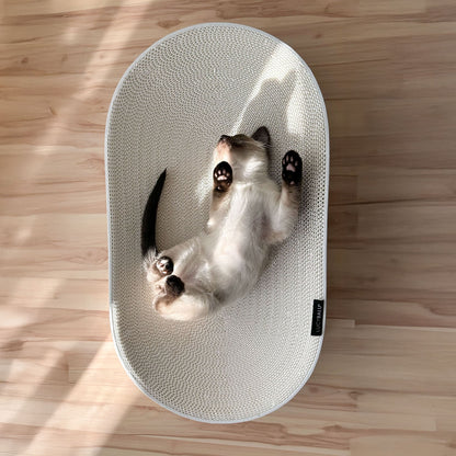 SCRATCHBED cardboard bed