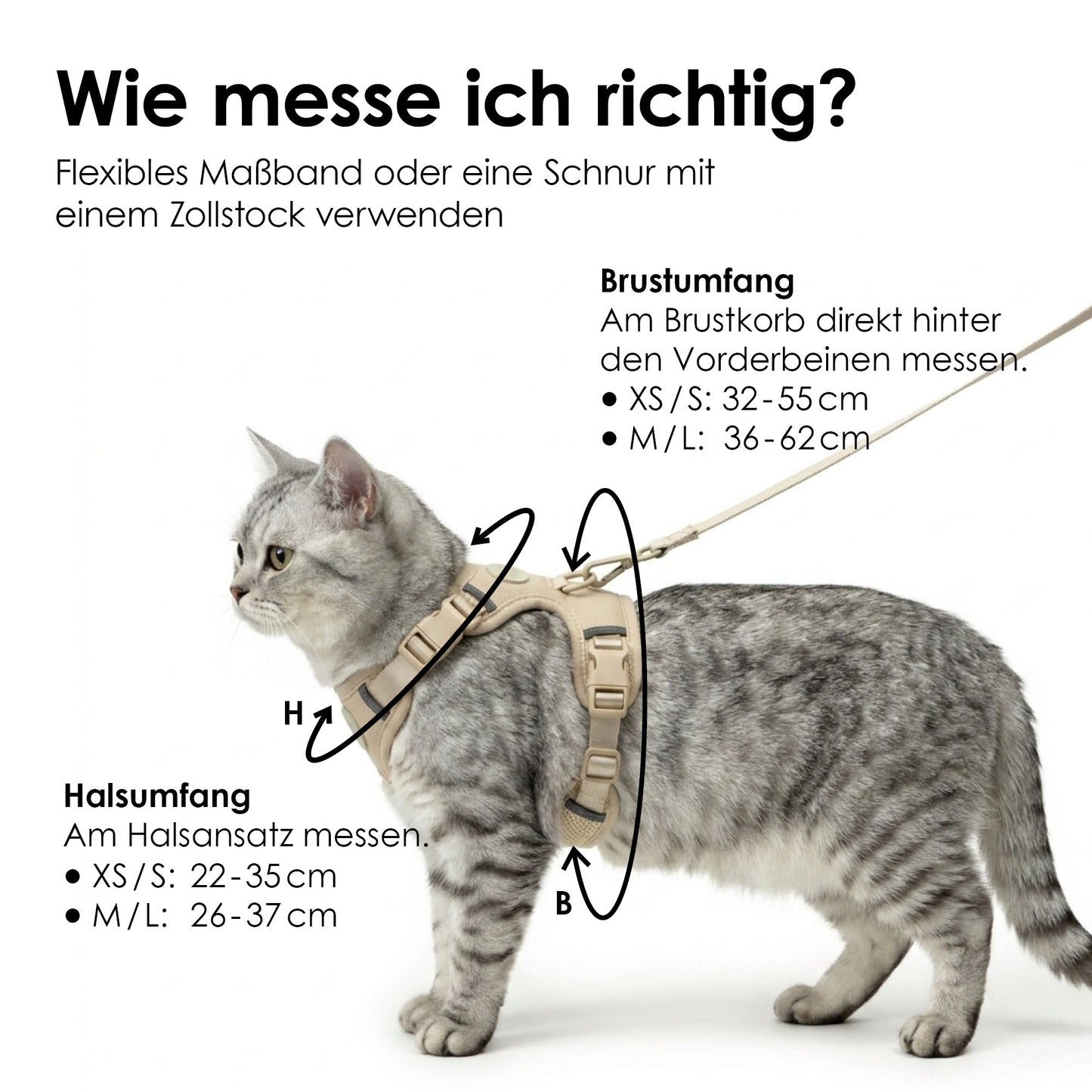 cat harness