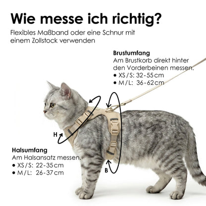 cat harness
