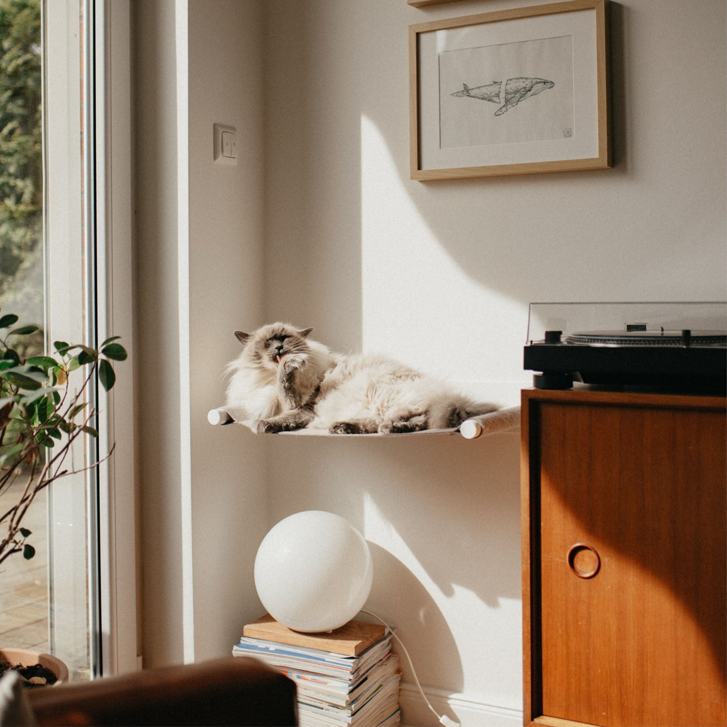 SWING cat hammock