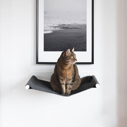 SWING cat hammock