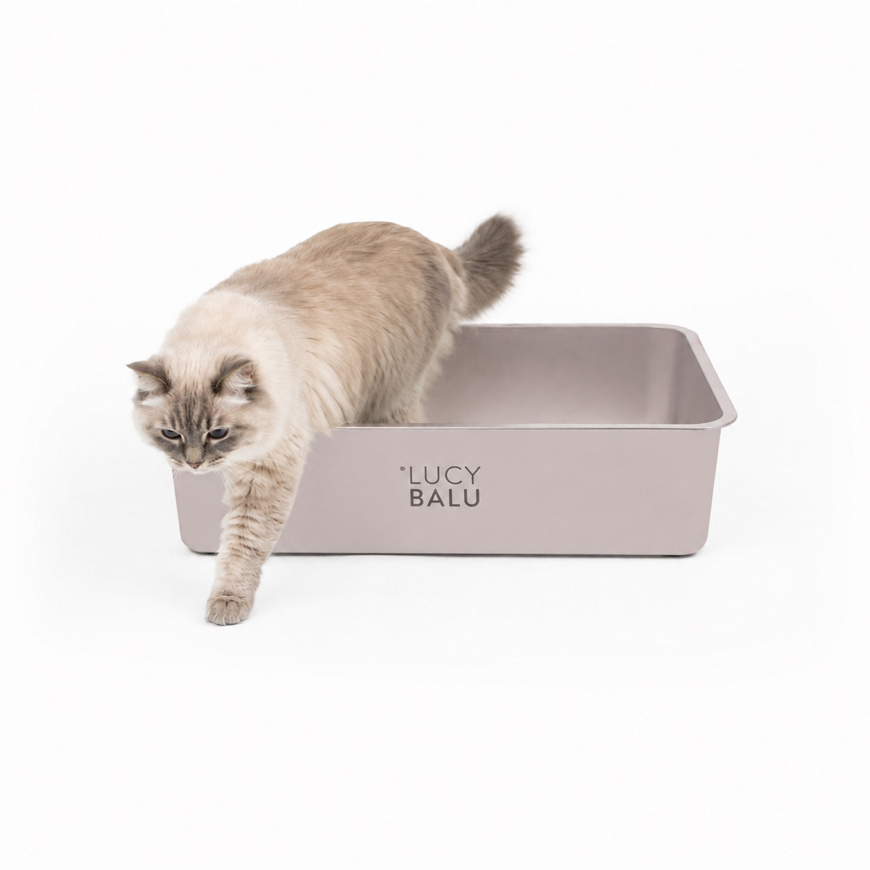 STEELOO cat litter box