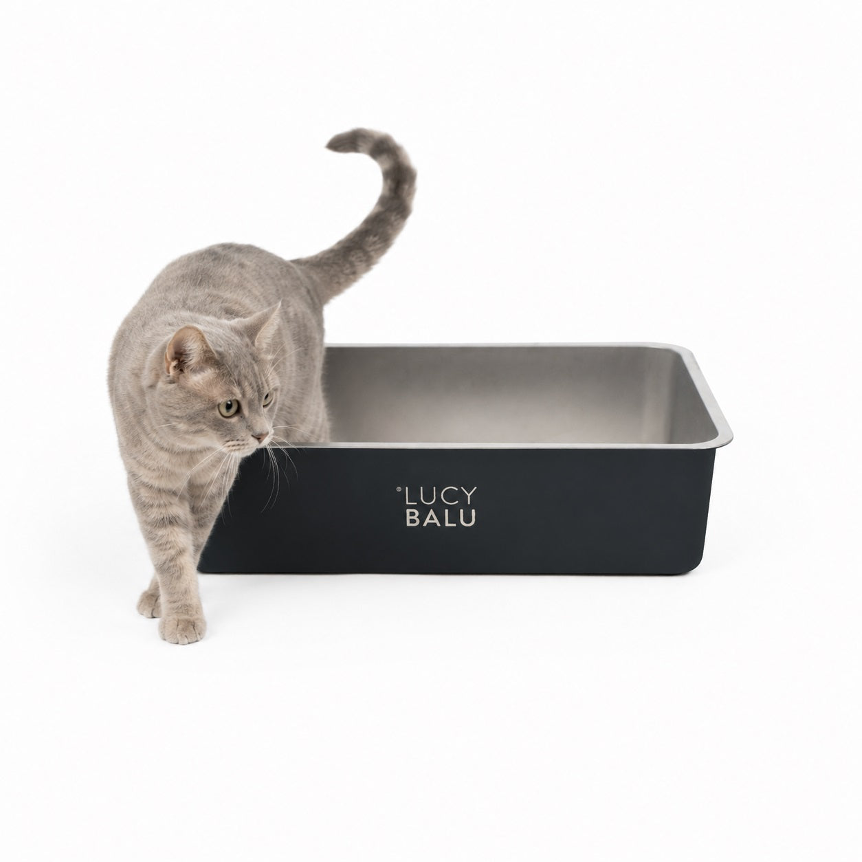 STEELOO cat litter box