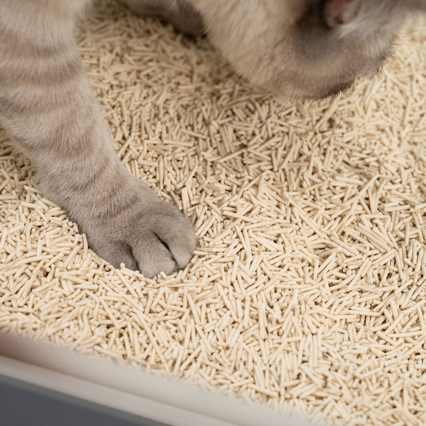 TOFU cat litter