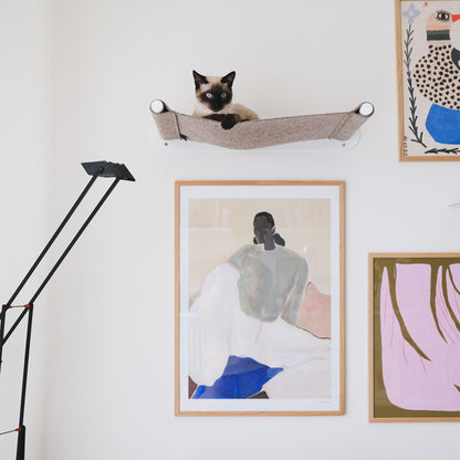 SWING cat hammock