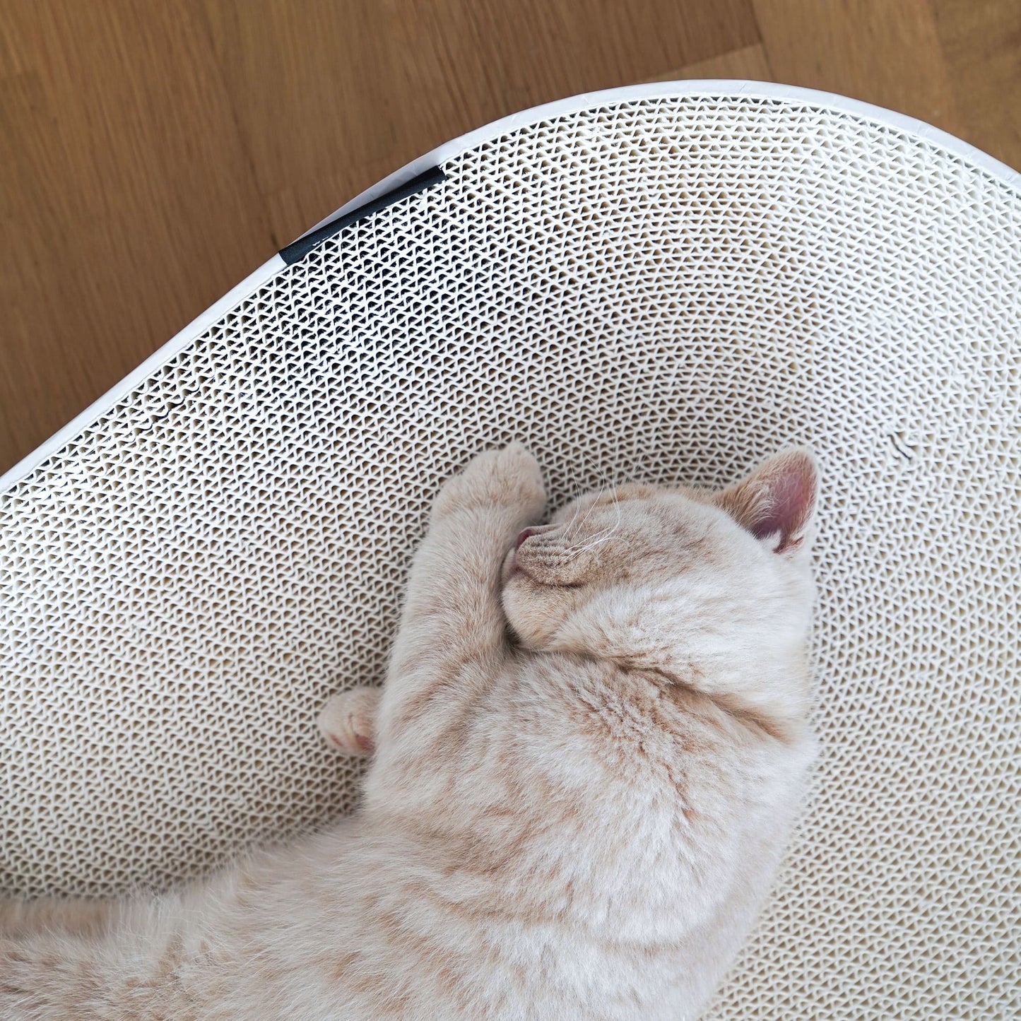 SCRATCHBED cardboard bed
