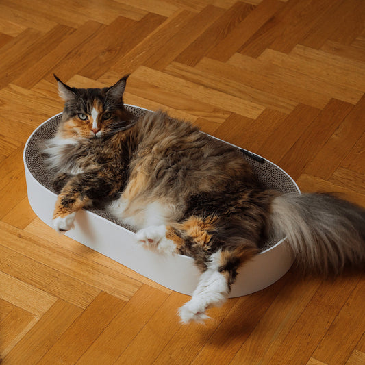 SCRATCHBED cardboard bed
