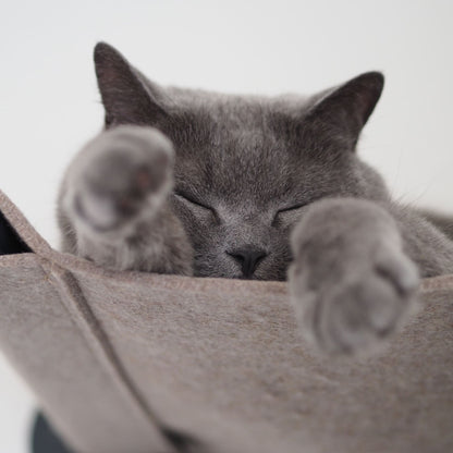 SWING cat hammock
