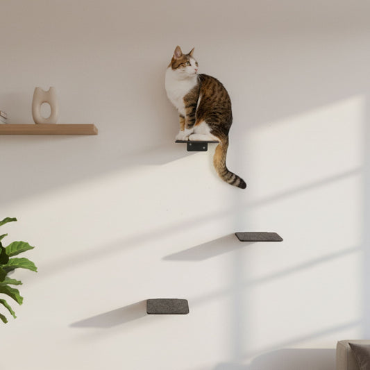 STEPS cat stairs