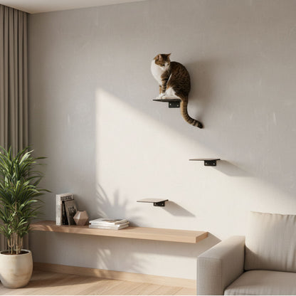 cat stairs