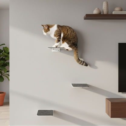 cat stairs