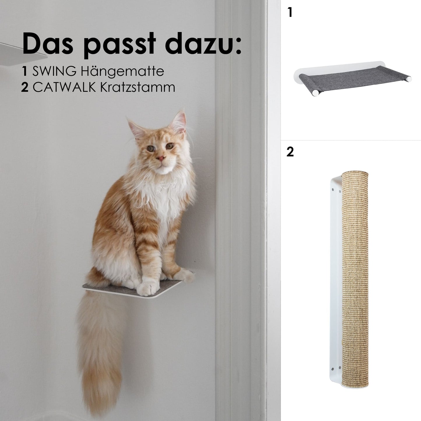 cat stairs