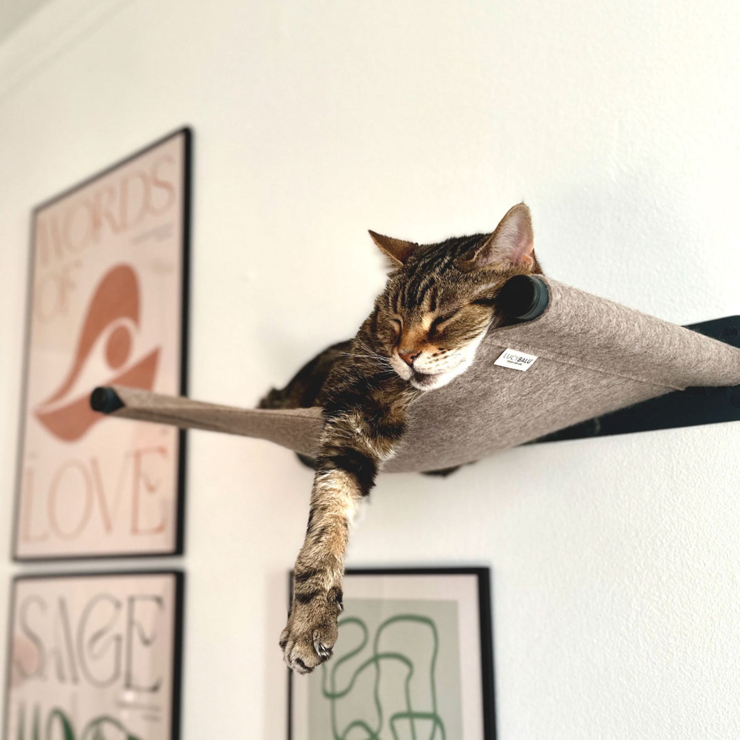 SWING cat hammock