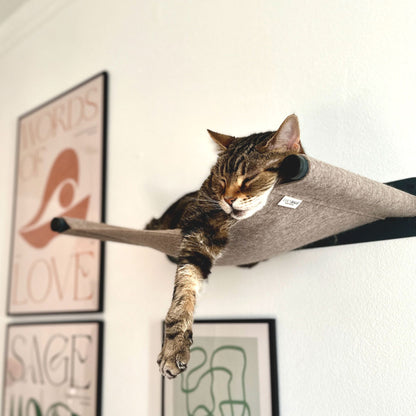 SWING cat hammock