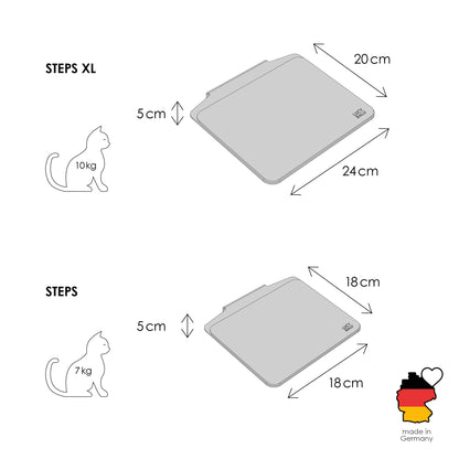 cat stairs